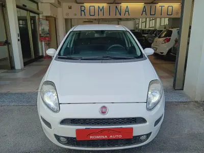 Usata Fiat Punto Easy 85 CV (62 kW) 2016 Bianco Utilitaria