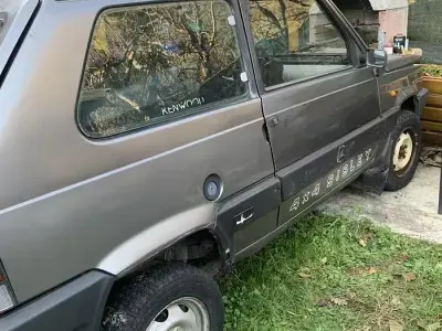 Usata Fiat Panda 4x4 50 CV (36 kW) 1999 Grigio Utilitaria