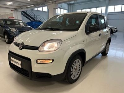 usata Fiat Panda 1.0 FireFly S&S Hybrid Km.0