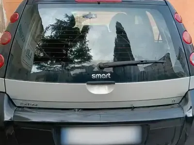 Usata Smart ForFour
