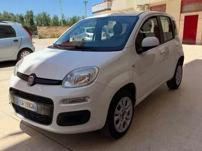 Usata Fiat Panda Lounge 80 CV (58 kW) 2014 Bianco Utilitaria