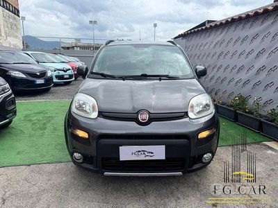 Usata Fiat Panda 4x4 S 95 CV (69 kW) 2017 Grigio Utilitaria