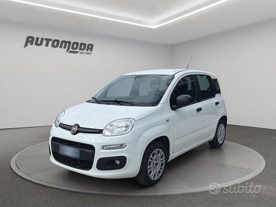 Usata Fiat Panda Easy 69 CV (50 kW) 2019 Bianco Utilitaria
