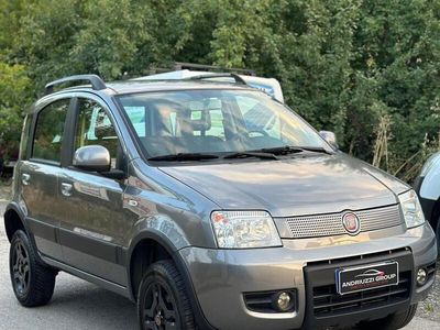 Usata Fiat Panda 4x4 Climbing 75 CV (55 kW) 2012 Grigio Utilitaria