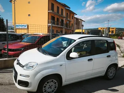 Usata Fiat Panda Easy 69 CV (50 kW) 2014 Bianco Utilitaria