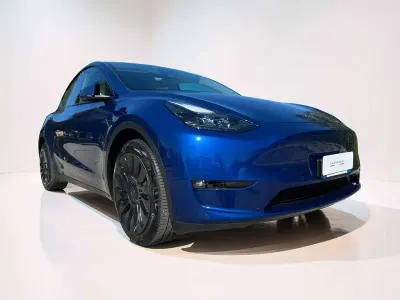Usata Tesla Model Y