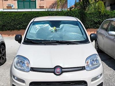 Usata Fiat Panda 70 CV (51 kW) 2015 Bianco Utilitaria