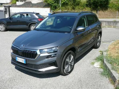 Usata Skoda Karoq