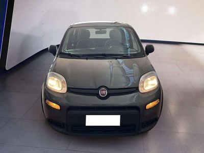 Usata Fiat Panda S 69 CV (50 kW) 2023 Grigio Utilitaria