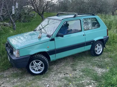 Usata Fiat Panda 4x4 Trekking 54 CV (39 kW) 2002 Verde Utilitaria