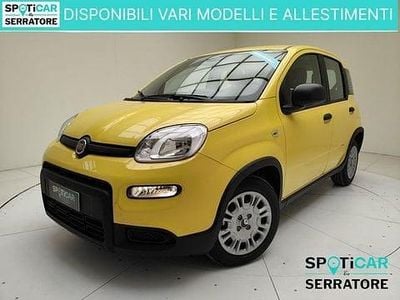 Usata Fiat Panda S 69 CV (50 kW) 2024 Giallo Utilitaria