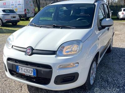 Usata Fiat Panda Easy 69 CV (50 kW) 2019 Bianco Utilitaria