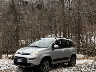 Usata Fiat Panda 4x4 S 95 CV (69 kW) 2016 Grigio Utilitaria