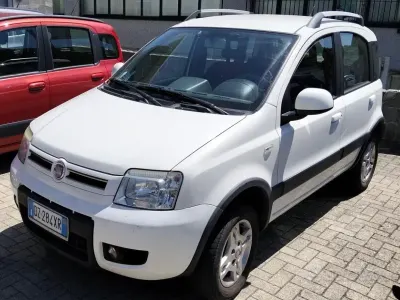 Usata Fiat Panda 4x4 69 CV (50 kW) 2010 Bianco Utilitaria