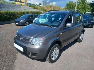 Usata Fiat Panda 4x4 Climbing 75 CV (55 kW) 2013 Grigio Utilitaria