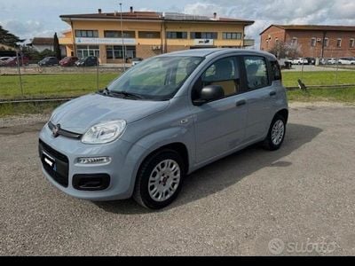 Usata Fiat Panda Easy 69 CV (50 kW) 2020 Utilitaria
