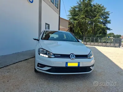 Usata VW Golf VIII Executive 130 CV (95 kW) 2020 Bianco Berlina
