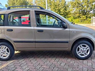 Usata Fiat Panda Dynamic 60 CV (44 kW) 2008 Bronzo Utilitaria