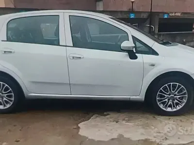 Usata Fiat Punto Lounge 77 CV (56 kW) 2017 Grigio Utilitaria