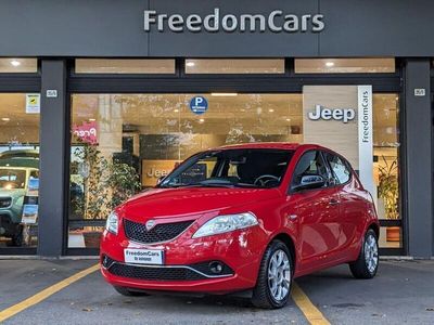 usata Lancia Ypsilon 1.2 69 CV 5 porte Platinum