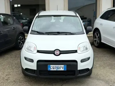 Usata Fiat Panda Cross Cross 70 CV (51 kW) 2021 Bianco Utilitaria