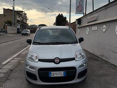 Usata Fiat Panda Easy 69 CV (50 kW) 2020 Grigio Utilitaria