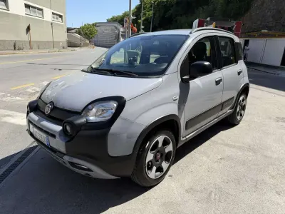 Usata Fiat Panda Cross Cross 69 CV (50 kW) 2020 Grigio Utilitaria