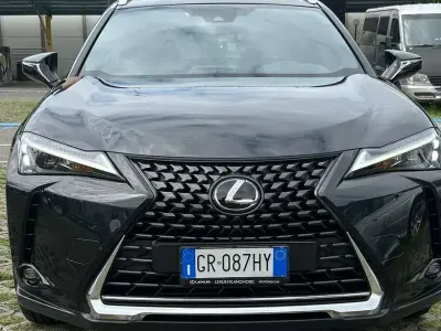 Usata Lexus UX 250h