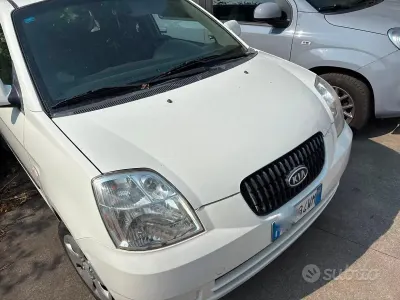 Usata Kia Picanto Urban 61 CV (44 kW) 2006 Bianco Utilitaria