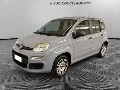 Usata Fiat Panda