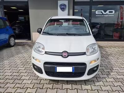 Usata Fiat Panda Easy 95 CV (69 kW) 2017 Bianco Utilitaria