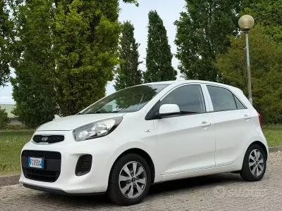 Używany Kia Picanto Active 67 KM (49 kW) 2017 Biały Hatchback