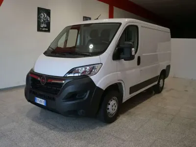 Usata Opel Movano