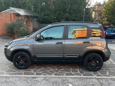 Usata Fiat Panda Cross Cross 69 CV (50 kW) 2018 Grigio Utilitaria
