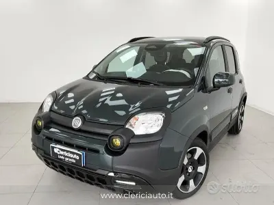 Usata Fiat Panda Cross Cross 65 CV (47 kW) 2026 Verde Utilitaria