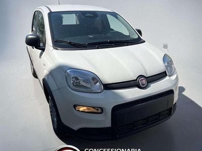 Usata Fiat Panda S 69 CV (50 kW) 2024 Bianco gelato Utilitaria