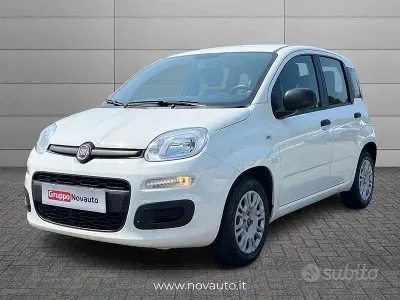 Usata Fiat Panda Easy 69 CV (50 kW) 2021 Bianco Utilitaria