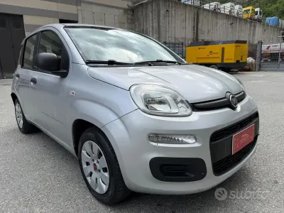 Usata Fiat Panda Easy 69 CV (50 kW) 2019 Grigio Utilitaria