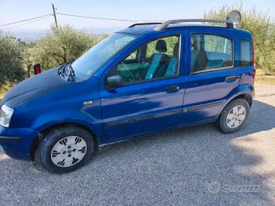 Usata Fiat Panda Emotion 60 CV (44 kW) 2007 Bluazzurro Utilitaria