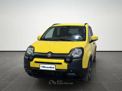 Usata Fiat Panda Cross Cross 69 CV (50 kW) 2024 Giallo Utilitaria