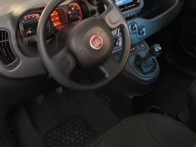 Usata Fiat Panda Easy 69 CV (50 kW) 2023 Nero Utilitaria