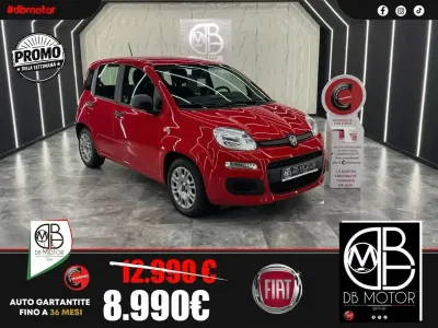 Usata Fiat Panda Connect 69 CV (50 kW) 2021 Rosso Utilitaria
