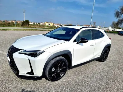 Usata Lexus UX 250h 184 CV (135 kW) 2021 Bianco SUV