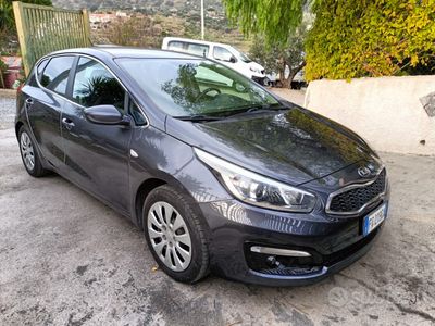 usata Kia Ceed cee'd 1.6 CRDi 110 CV 5 porte high tech