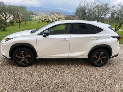 Usata Lexus NX300h Business Edition 155 CV (114 kW) 2021 Bianco SUV