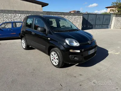 Usata Fiat Panda Easy 80 CV (58 kW) 2012 Nero Utilitaria