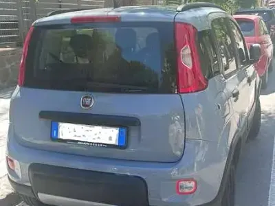 Usata Fiat Panda 4x4 S 84 CV (61 kW) 2019 Grigio Utilitaria