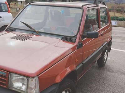 usata Fiat Panda 4x4 1.0 CLX cat.