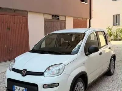 Usata Fiat Panda