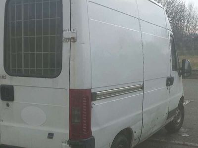 usata Fiat Ducato 11 243.3L3.0 C1A